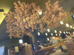 -汤泉良子(金源店)