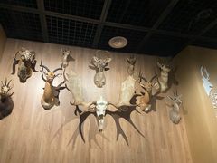 -陕西自然博物馆