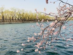-颐和园