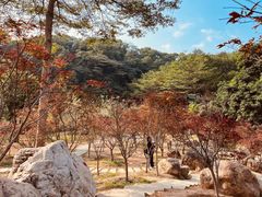 -广州市帽峰山景区