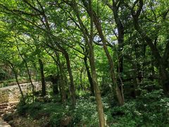 -北仑森林植物园