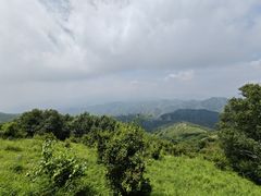 -灵山