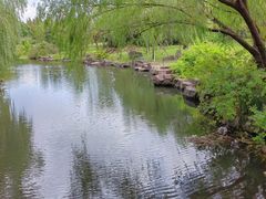 -上海滨江森林公园