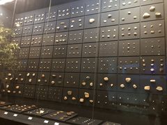 -北京周口店北京人遗址博物馆