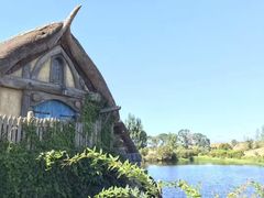 -怀托摩萤火虫洞