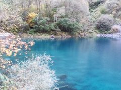 -叠溪松坪沟景区