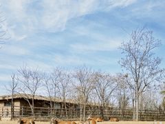 -济南野生动物世界