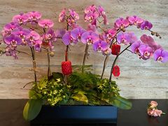 -炳胜公馆(珠江新城店)