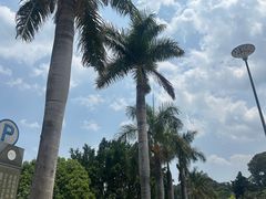 -抚仙湖禄充风景区