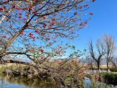 -西昌邛海湿地