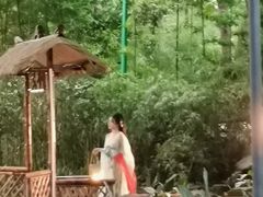 -望江楼公园