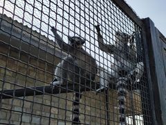 -石家庄市动物园