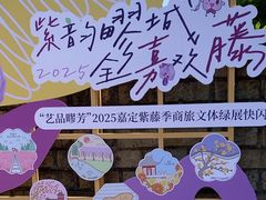 -嘉定紫藤园