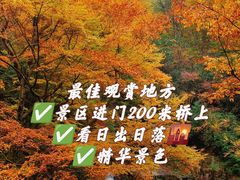 -光雾山旅游景区