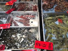 -湛江渔港·大排档(乐园路总店)