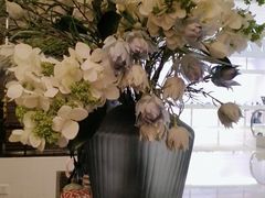 -Dragonfly悠庭·按摩Spa(静安嘉里中心店)