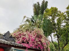 -深圳国际园林花卉博览园