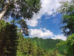 -五台山风景区