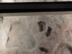 -湖南省地质博物馆