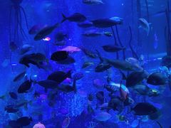 -沈阳海洋探索中心