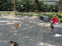 -晓港公园