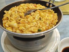 -丁老爷子苏香圆