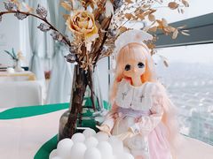 -白棠(九方保利大厦店)