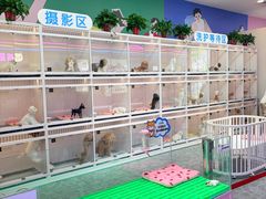 -百荣世贸商城
