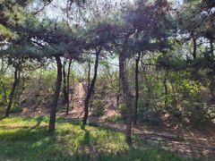 -元大都城垣遗址公园