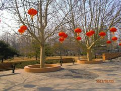 景点-康庄公园