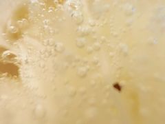 -米斯特比萨(罗斯福店)