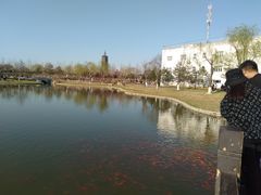 -西海子公园
