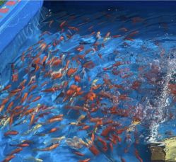 -萌宠亲子动物乐园(槐房万达店)