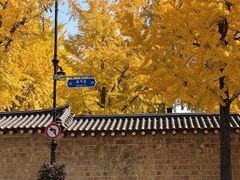 -景福宫