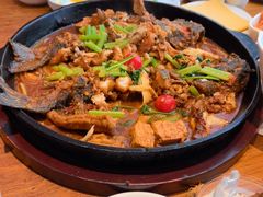 -老板恋上鱼(恒隆广场店)