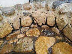 -汕头莲花山度假村温泉