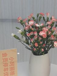 -小珂丽格医疗美容