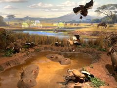 -陕西自然博物馆