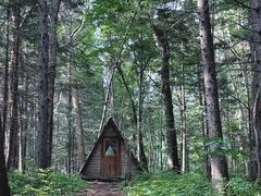 -五营红松林海景区