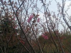 -白塘生态植物园