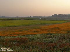 -光明小镇欢乐田园