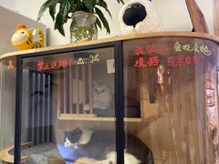 面包甜点陈列柜-满悠悠惜食(万豪国际公寓店)