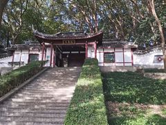 -上海佘山国家森林公园天马山园