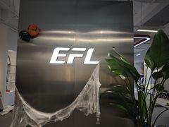 -EFL巴西柔术·综合格斗·泰拳·少儿体能训练(虹桥德必馆)