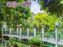 -九龙公园