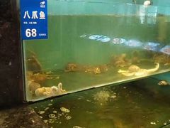 -长崎家日式料理(人民大街店)