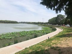 -素心小筑(后沙裕镇店)