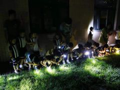 -满天星幼儿园(北京太阳宫园)