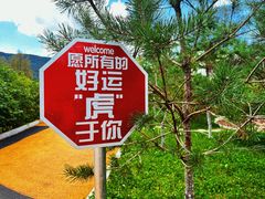 -横道河子东北虎林园