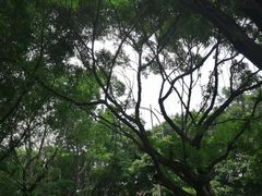 -水濂山森林公园